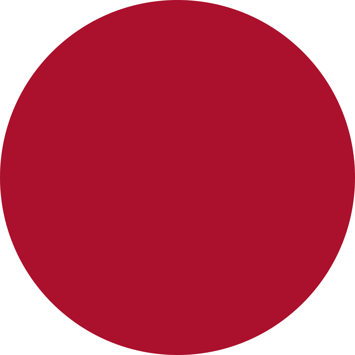 520 LE ROUGE PROFOND – VELVET